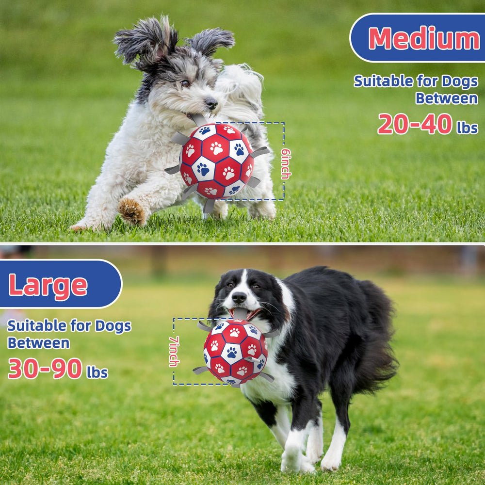 Diman interactive dog toy encourages active play and training sessions.