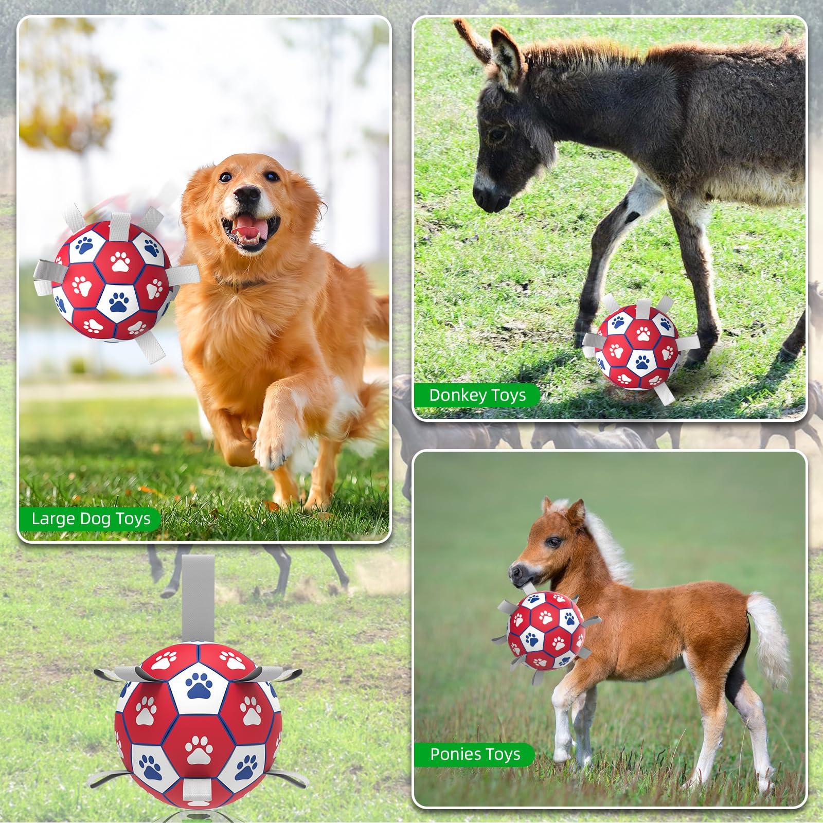 Diman premium dog soccer ball in outdoor play with a large dog.