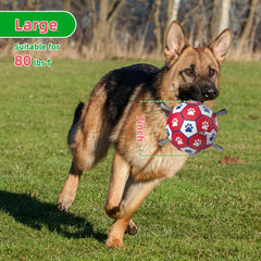 Diman premium dog soccer ball floating in water for pool play.
