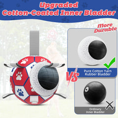 Diman water-friendly dog toy suitable for pool, lake, and beach adventures.