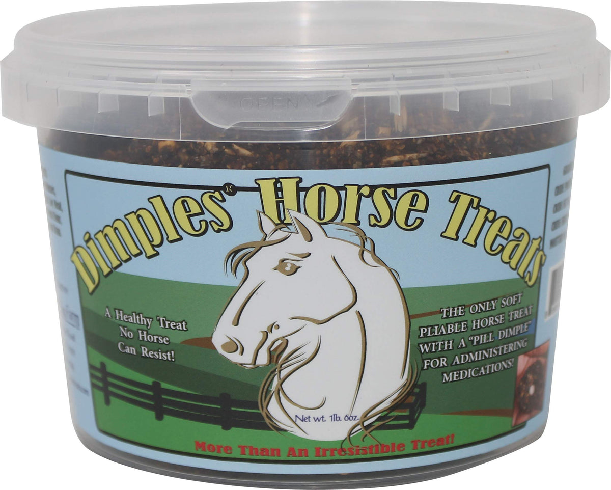 Dimples Horse Treats Pill Dimple tub demonstrating easy medication concealment for horses