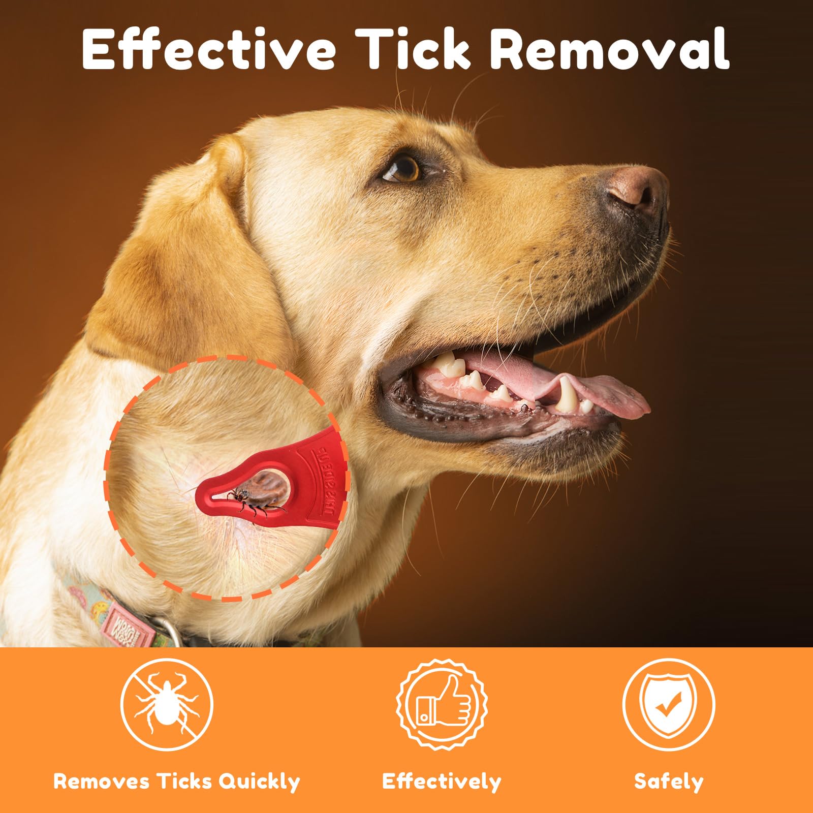 Dimsem tick removal tools in packaging for three-pack convenience