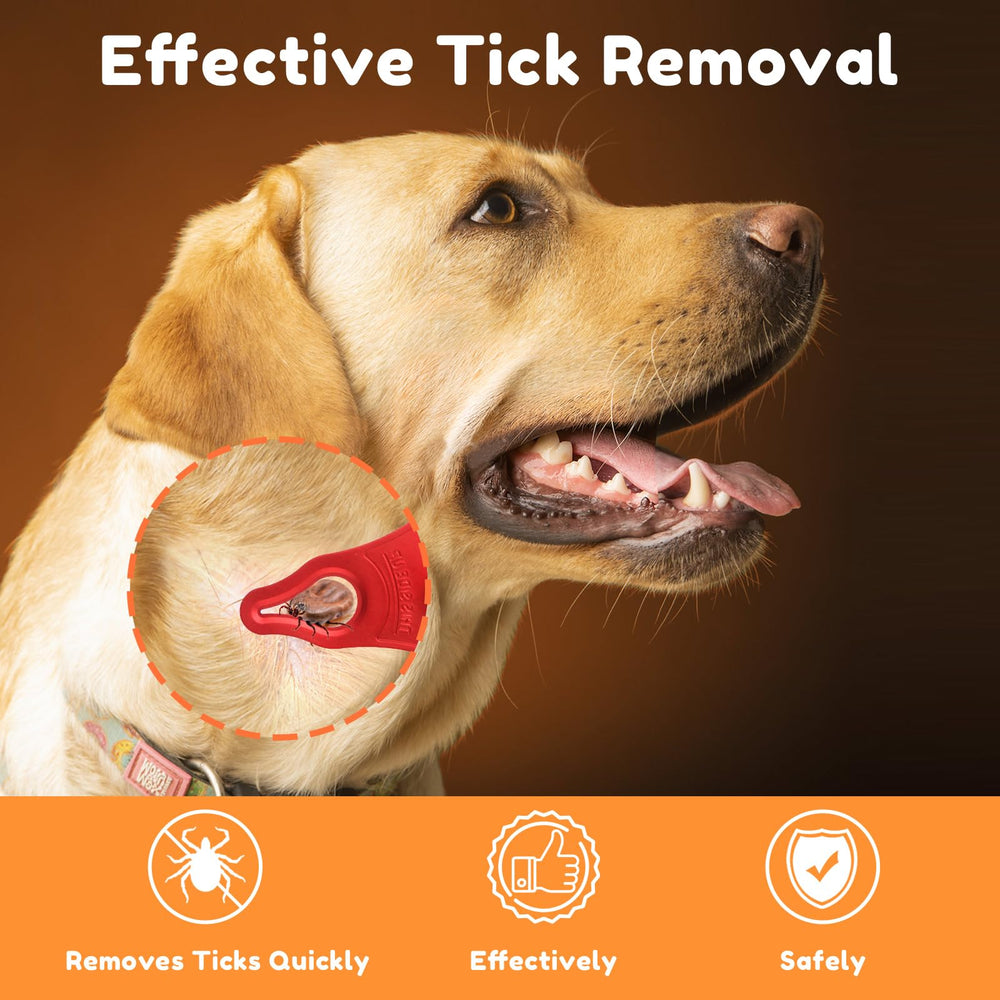 Dimsem tick removal tools in packaging for three-pack convenience