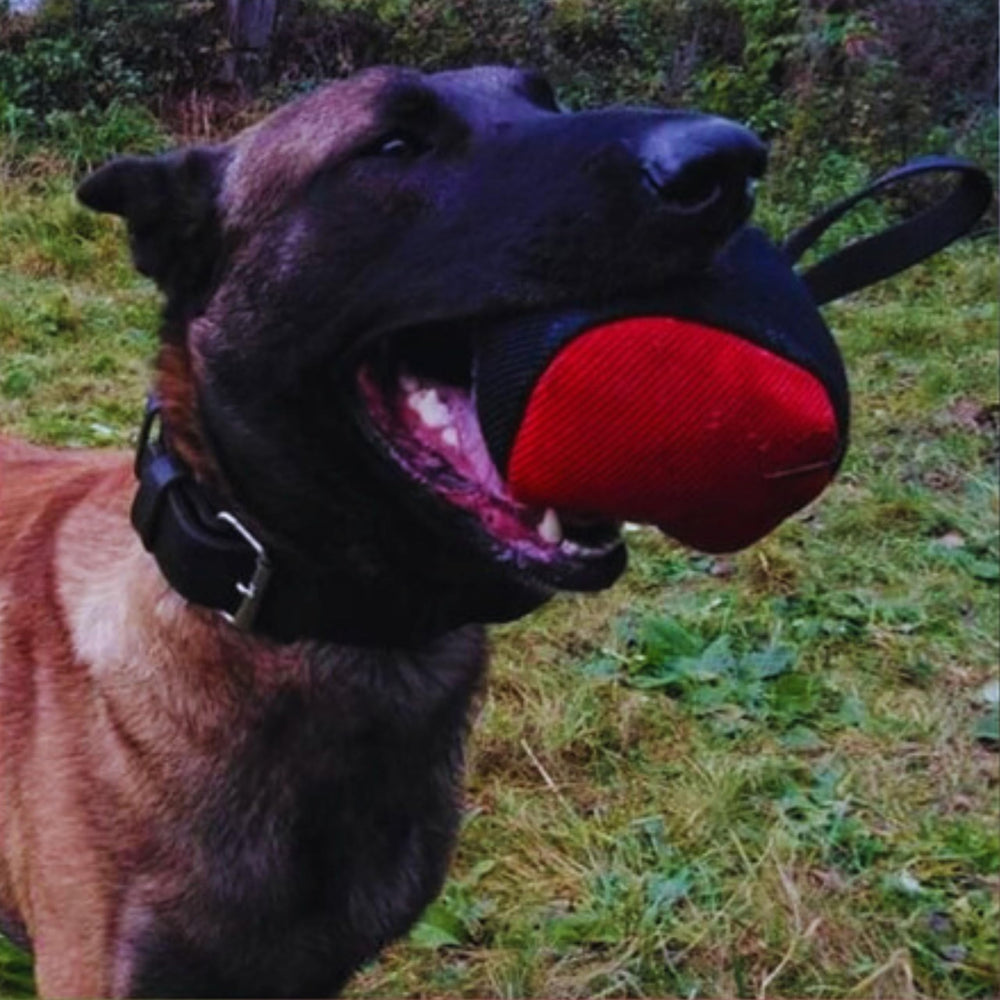 Dingo Gear red cube tug ball grips dog teeth securely during training.