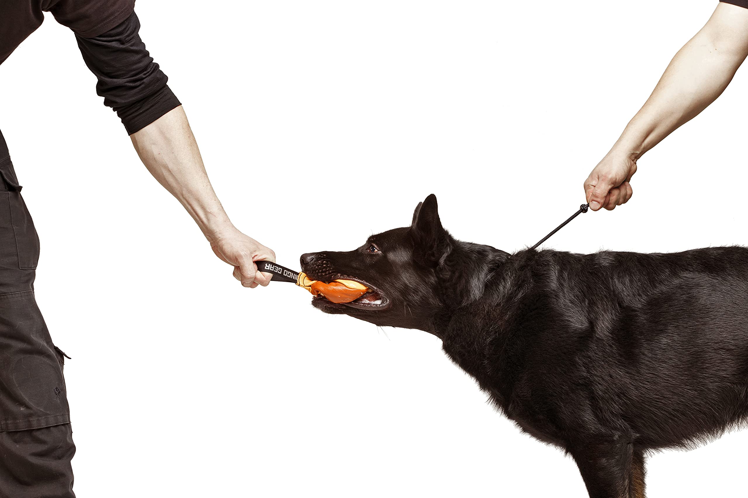 Dingo Gear handmade in Poland emphasizes craft quality.