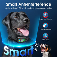 Dinjoo bark collar 8-level sensitivity tailors training to any dog size.