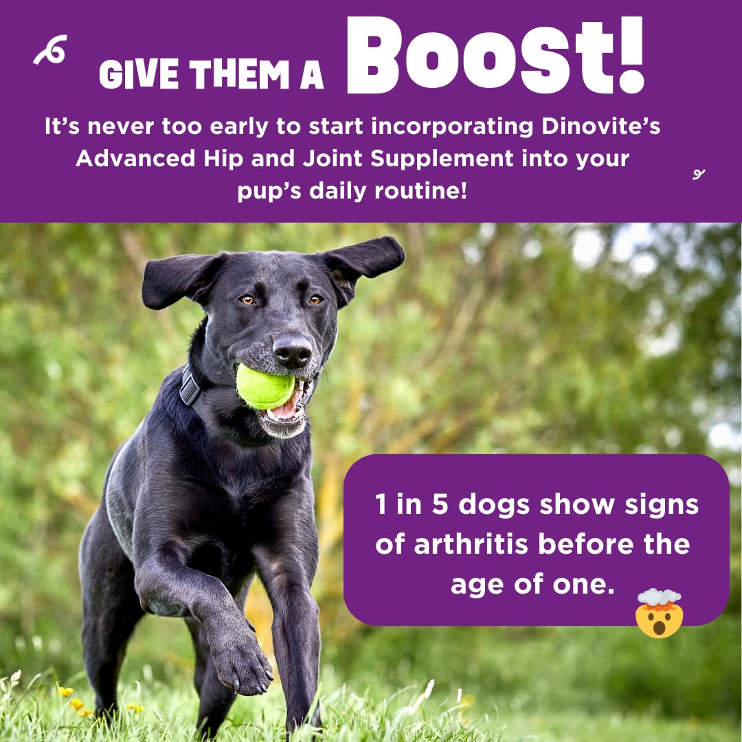 Dinovite BeneBoost dog-eating scene after topping meals.