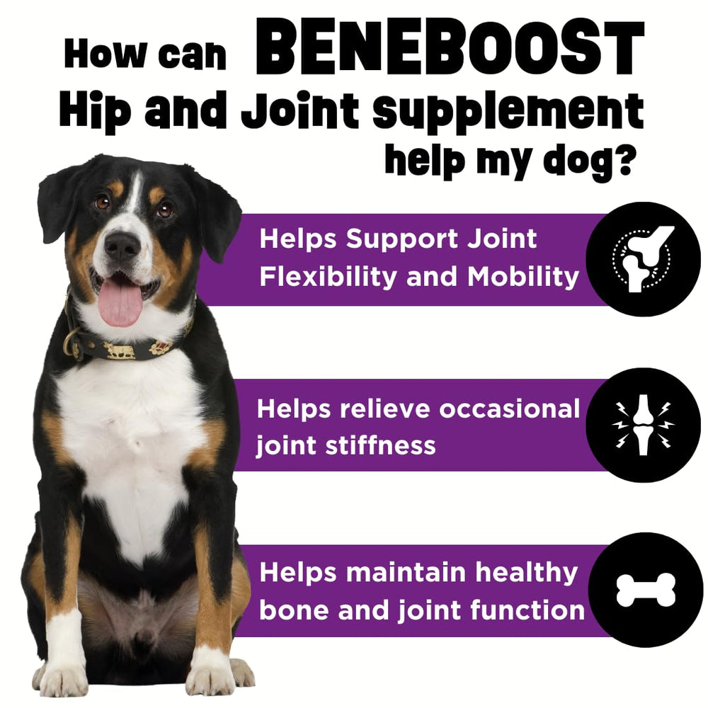 Dinovite BeneBoost liquid topper over dog bowl boosts palatability and mobility.