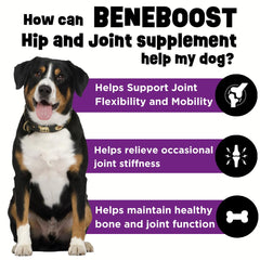 Dinovite BeneBoost liquid topper over dog bowl boosts palatability and mobility.