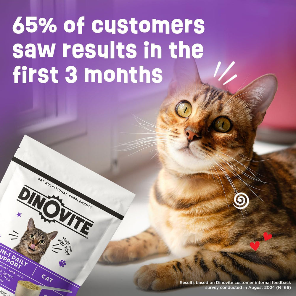 Dinovite cats supplement packaging made in USA emphasizing quality.