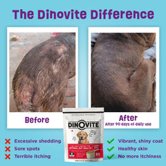 Dinovite dog probiotics small-dog image shows compact supplement ideal for tiny breeds.