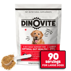Dinovite probiotic supplement for dogs bottle demonstrates daily gut support potential.