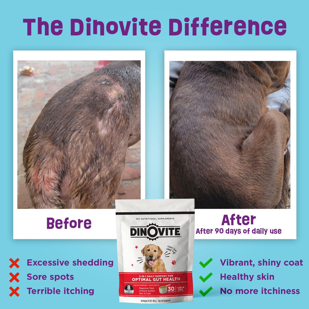 Dinovite salmon oil skin coat boost emphasizes shine and moisture