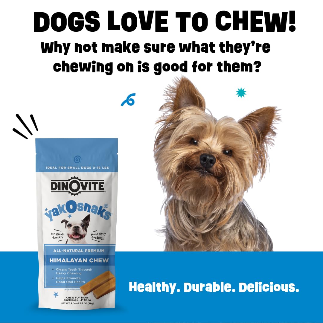 Dinovite YakoSnaks low-odor chews shown for indoor use.