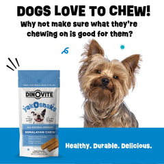 Dinovite YakoSnaks low-odor chews shown for indoor use.
