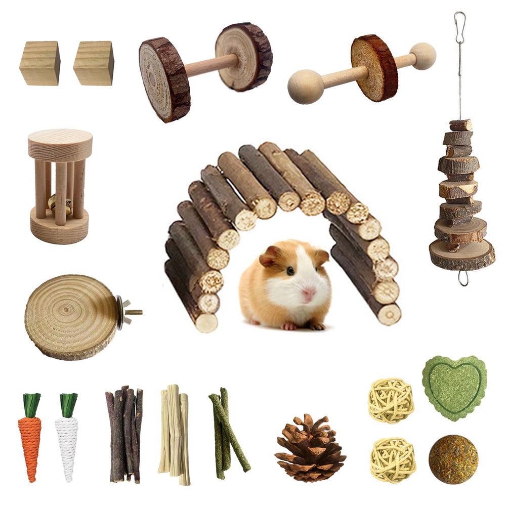 DINTSTYLE hamster toys: apple branch molar skewer for grinding teeth and enrichment.