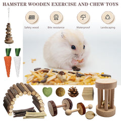 DINTSTYLE unicycle toy offers interactive play and mental stimulation.