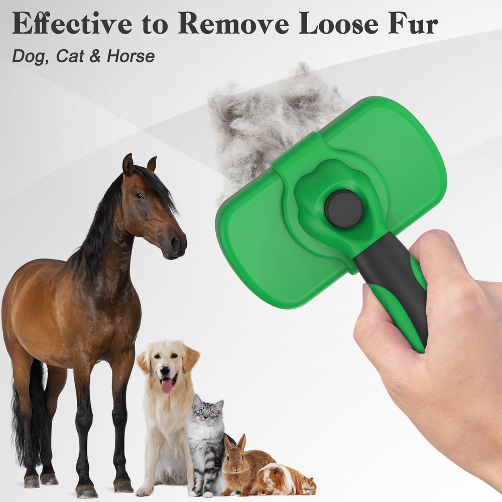 Dipoo efficiently removes loose fur from a dog's coat.