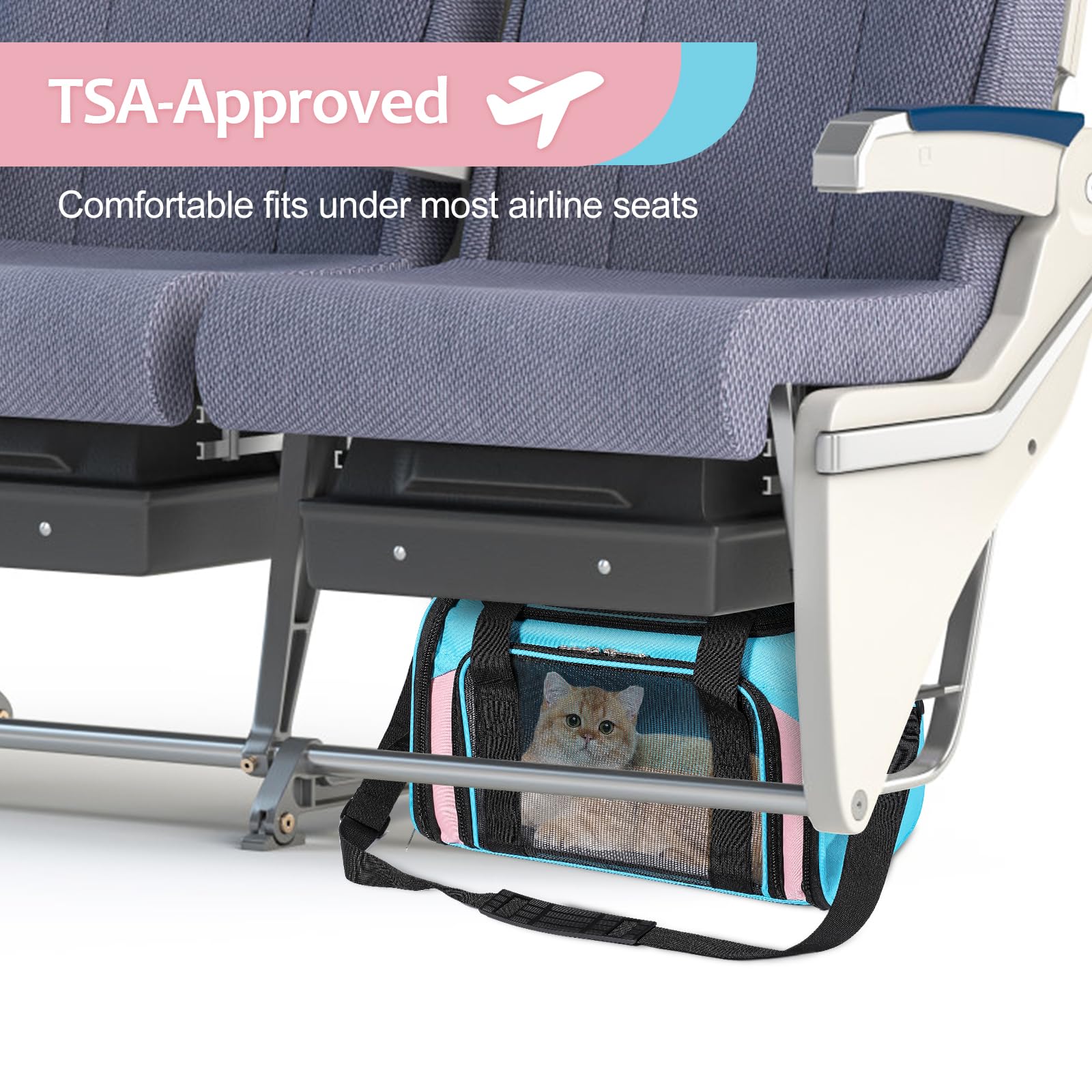 Discala cat-carrier ventilated-mesh three-sides for airflow and easy pet checks