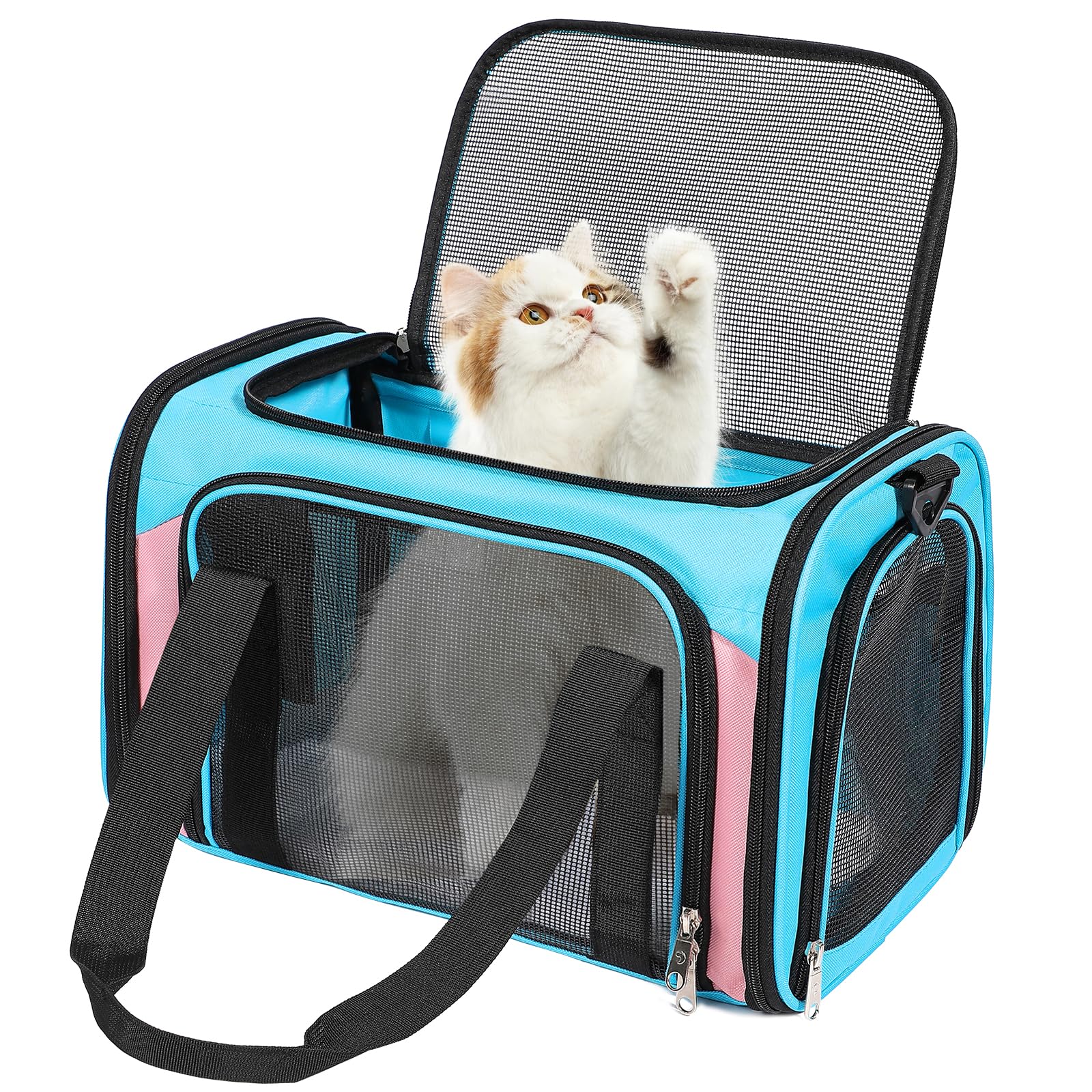 Discala cat-dog-carrier blue-pink under-seat design for airline travel