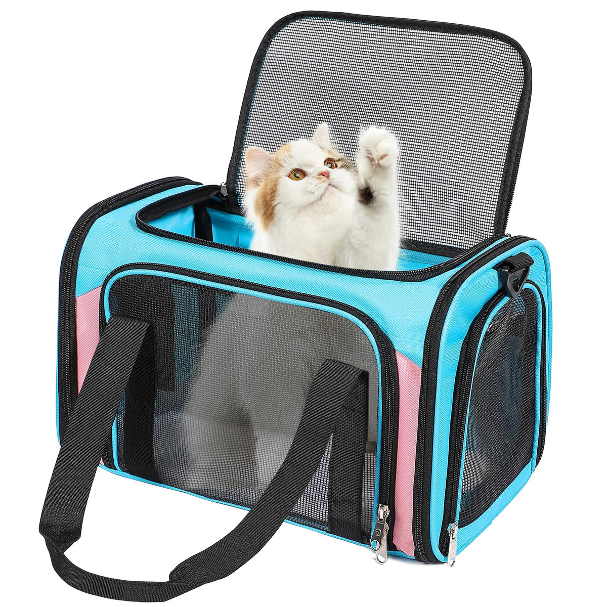 Discala cat-dog-carrier blue-pink under-seat design for airline travel