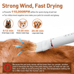 Discala dog dryer slicker brush nozzle demonstrates combined drying and shedding control.