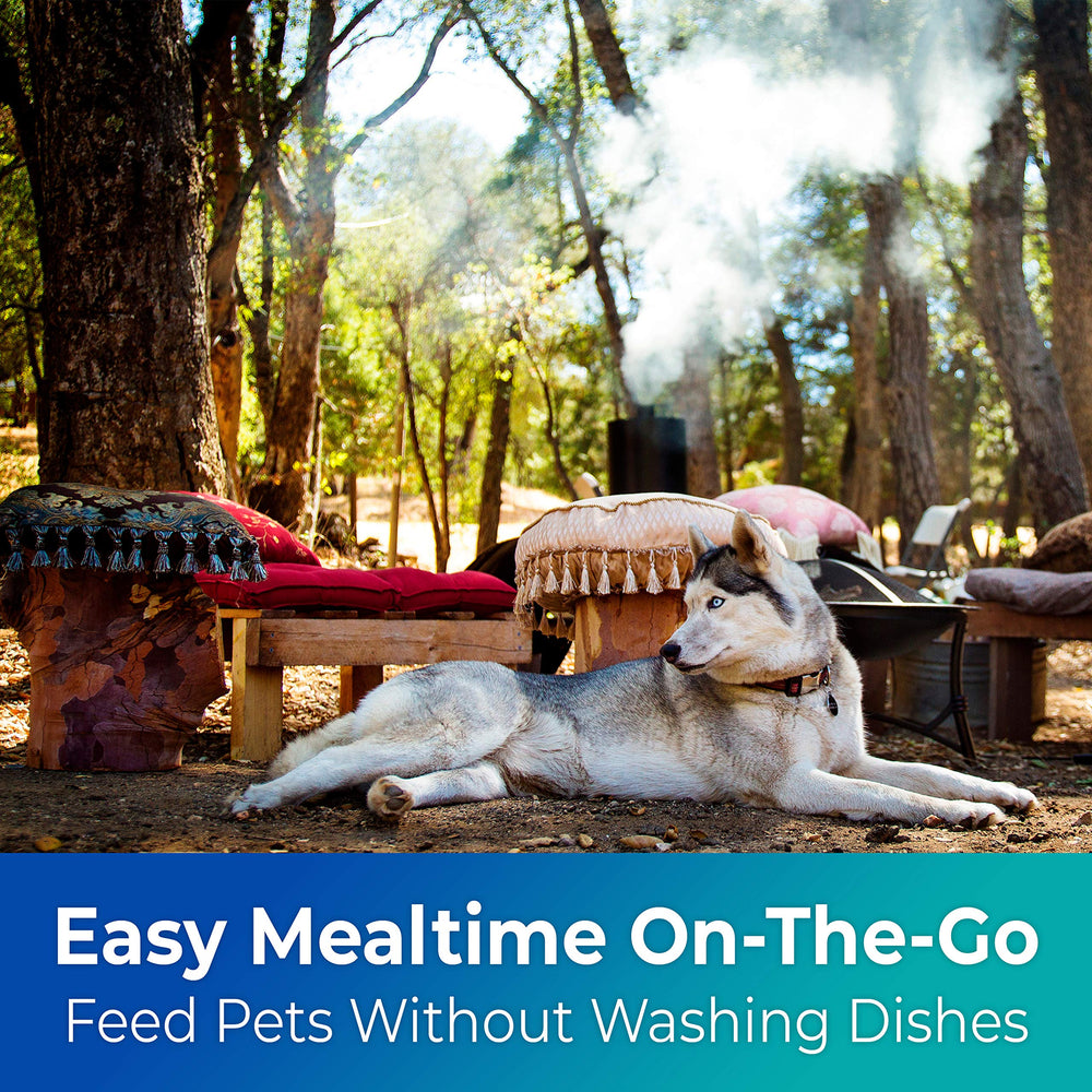 Disco Pets recycled wheatstalk material bowls support sustainable pet care.