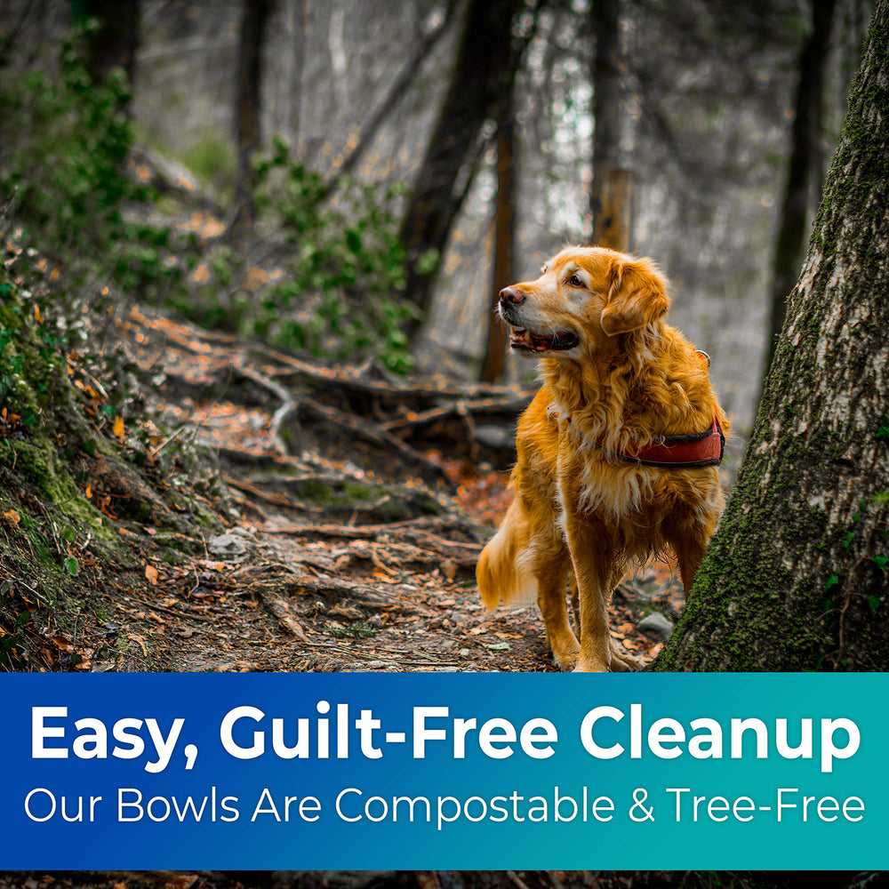 Disco Pets vet-grade disposable bowls for reliable meal service and hygiene.