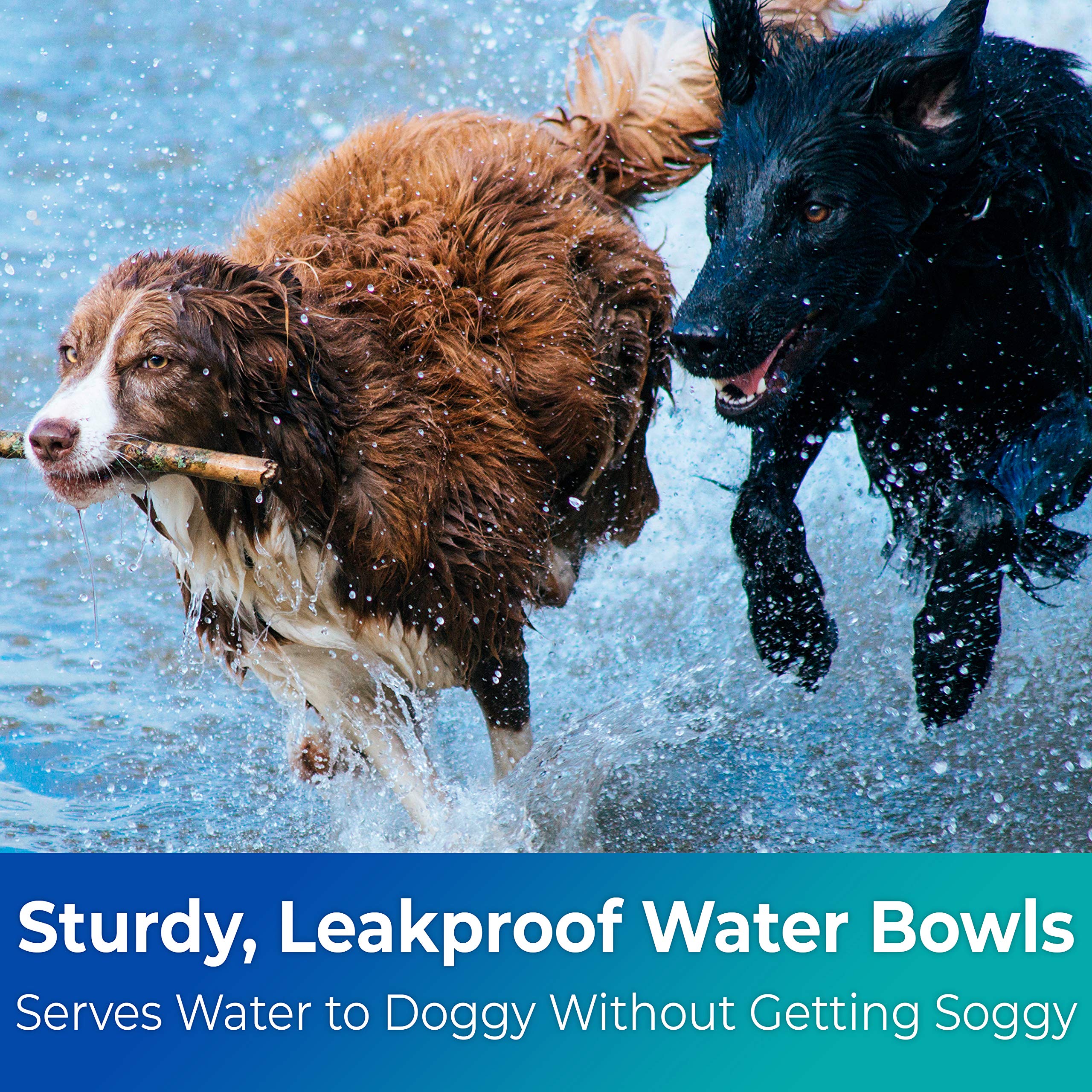 Disco Pets zero-carbon facility bowls demonstrate eco-conscious production and quality.