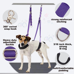 DISCPETSEC grooming loop providing gentle restraint for precise trimming
