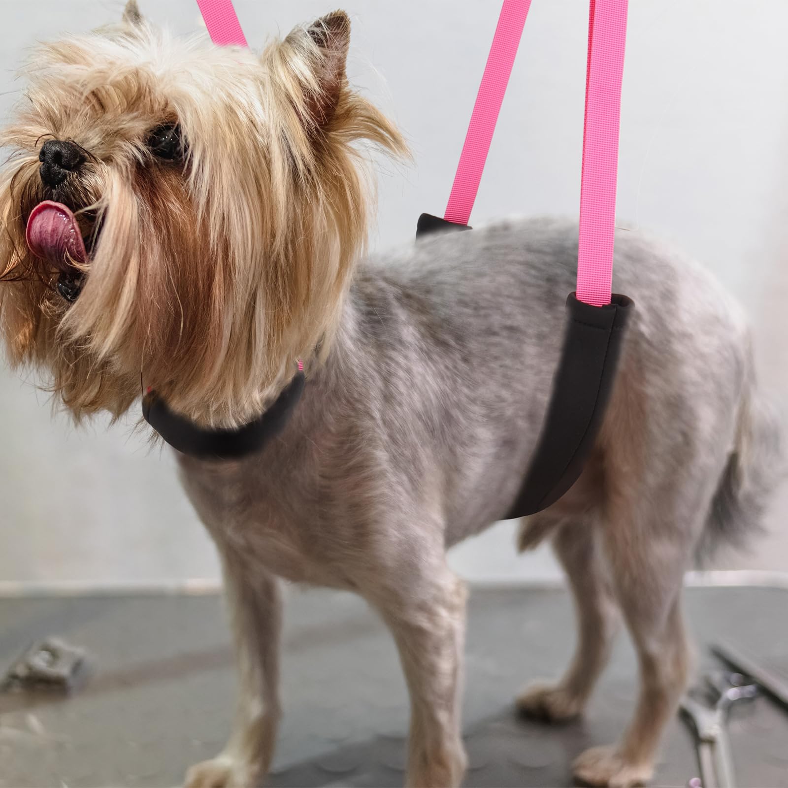 DISCPETSEC nylon webbing offers durable restraint for regular grooming sessions