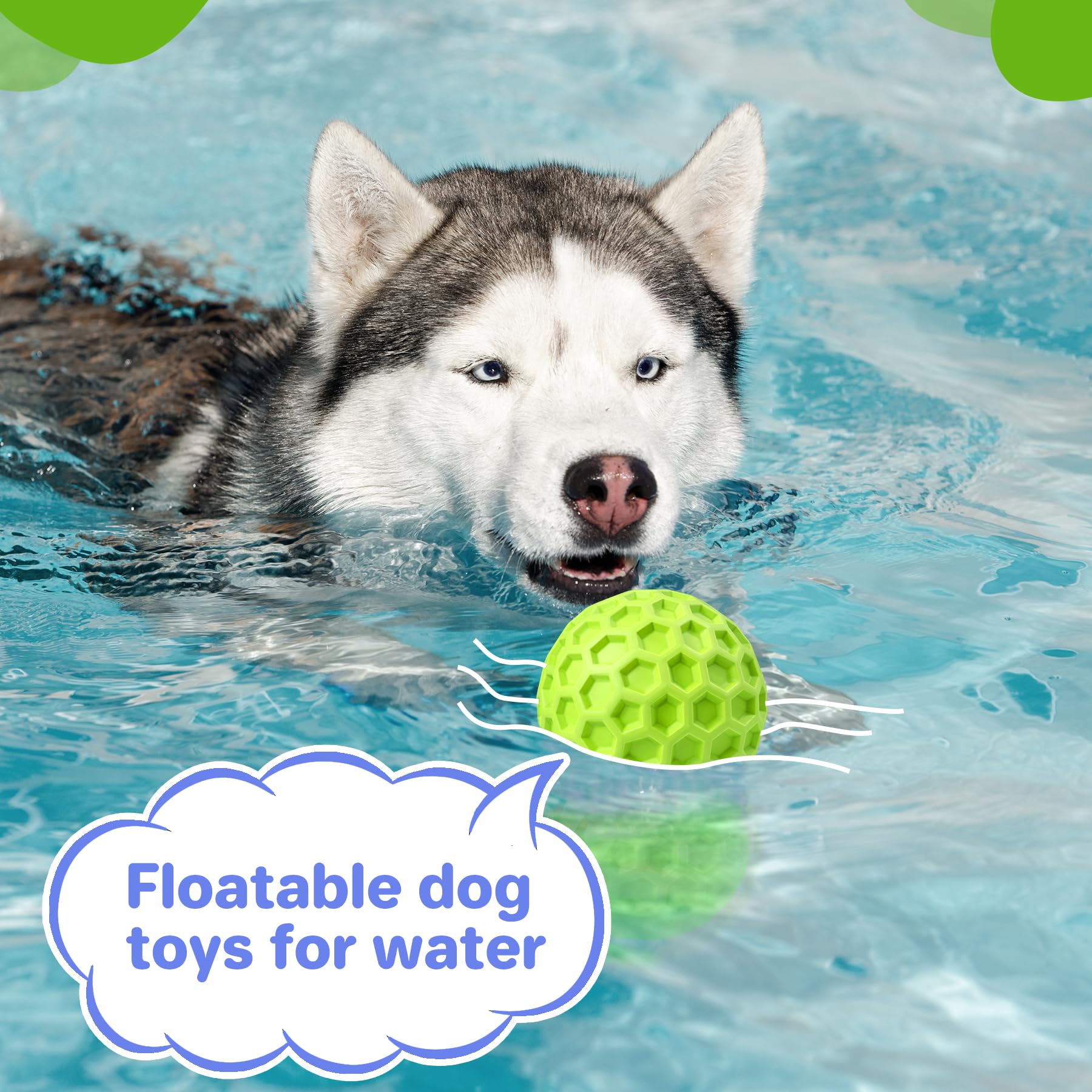 DISSKNIC dog bonding and training toy enhances owner-dog interaction