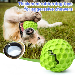 DISSKNIC floating dog toy stays buoyant for water play and training