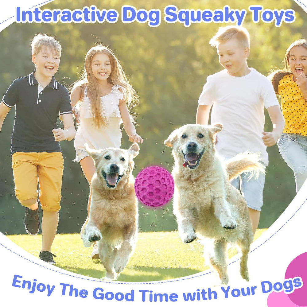 DISSKNIC gift-worthy dog birthday toy for happy dogs