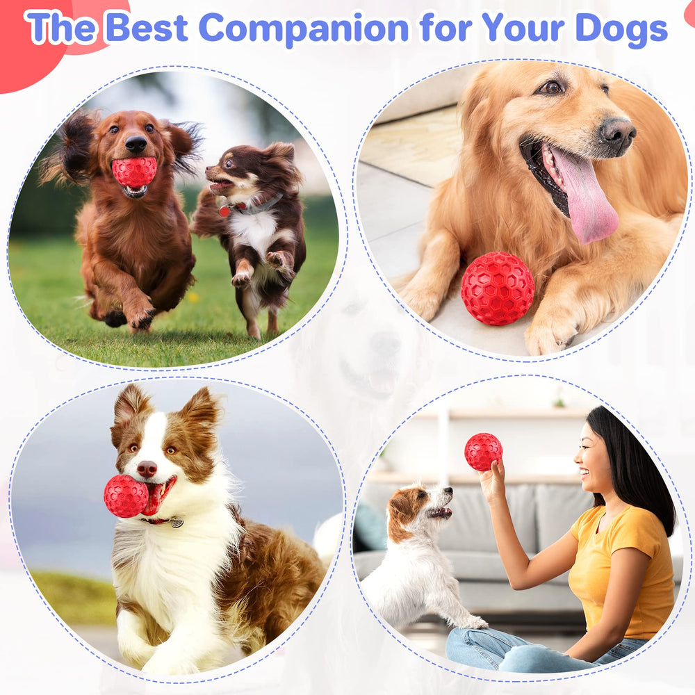 DISSKNIC indestructible squeaky dog ball outdoor-training-ready for fetch and focus