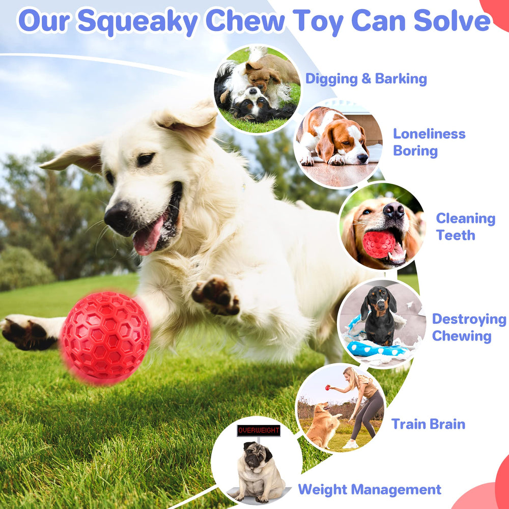 DISSKNIC indestructible squeaky dog ball shown in packaging for gift-ready appeal