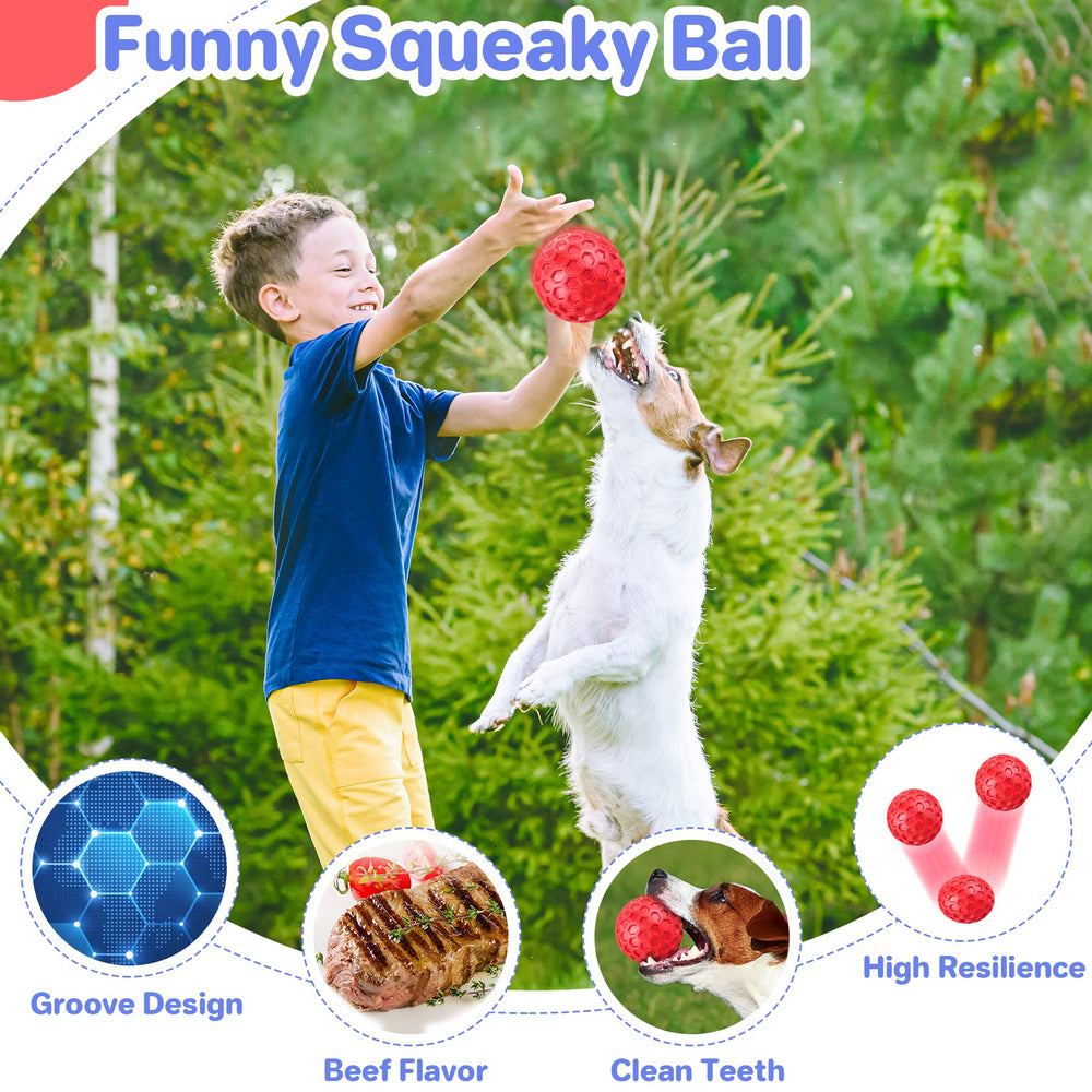 DISSKNIC indestructible squeaky dog ball textured surface aids chewing and teething exploration