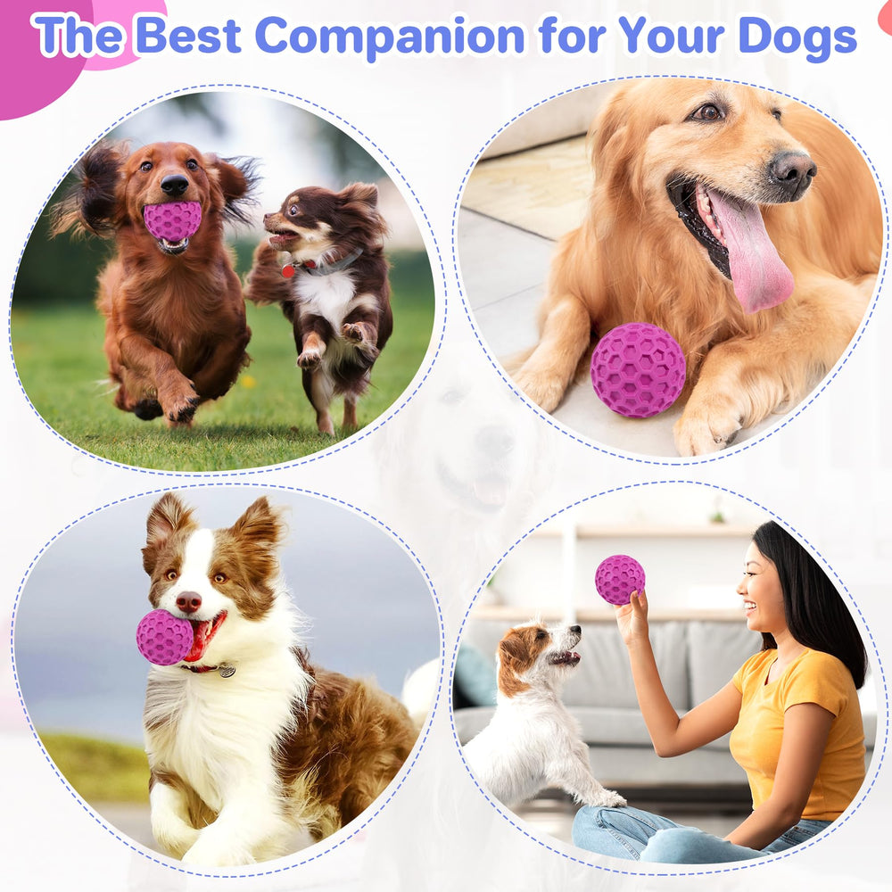 DISSKNIC interactive dog ball puzzle engages canine cognition