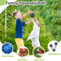 DISSKNIC Interactive Squeaky Ball floats for water fetch and play