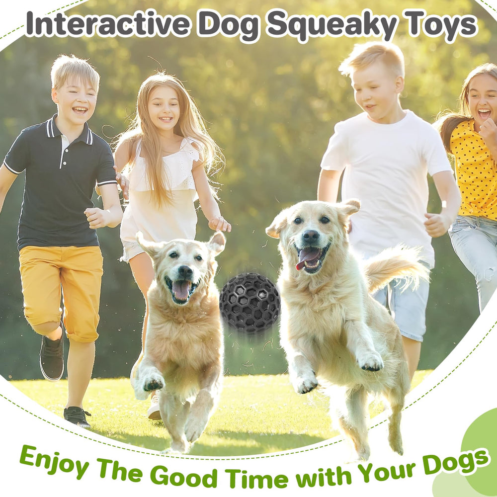 DISSKNIC Interactive Squeaky Ball outdoors for active training and retrieval