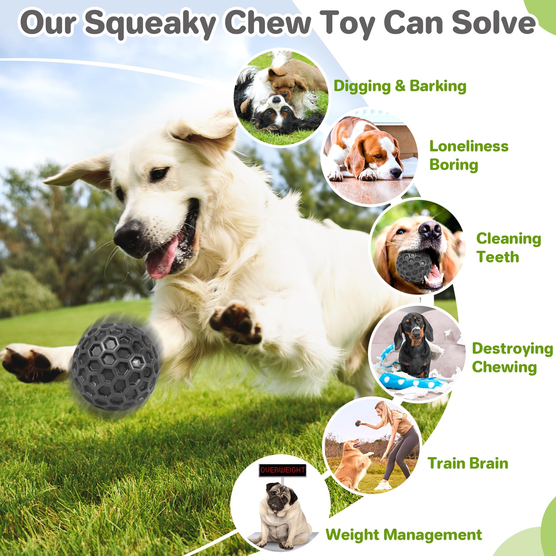 DISSKNIC Interactive Squeaky Ball honeycomb texture aids surface cleaning during play