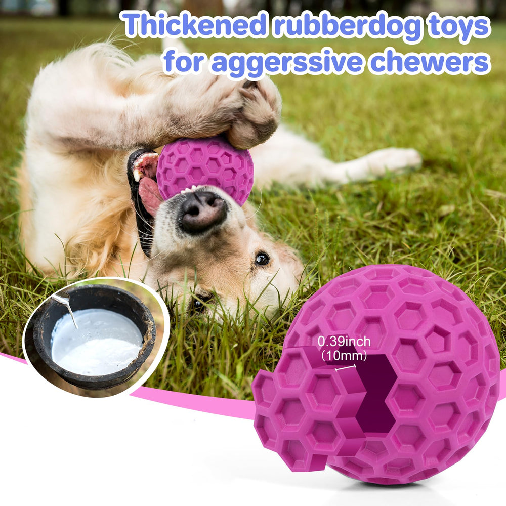 DISSKNIC outdoor dog toy bounces for active outdoor play