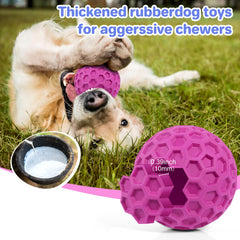 DISSKNIC outdoor dog toy bounces for active outdoor play
