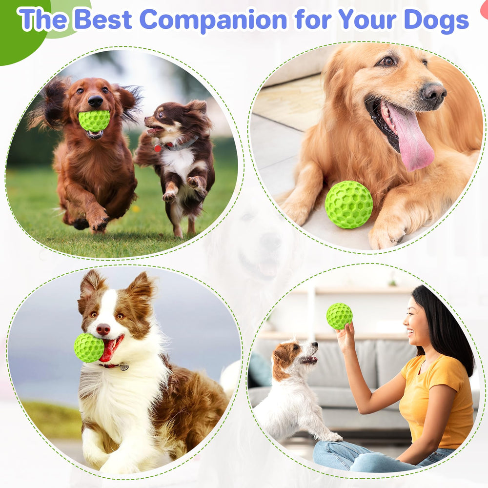 DISSKNIC puppy enrichment interactive toy engages dogs during training and boredom relief