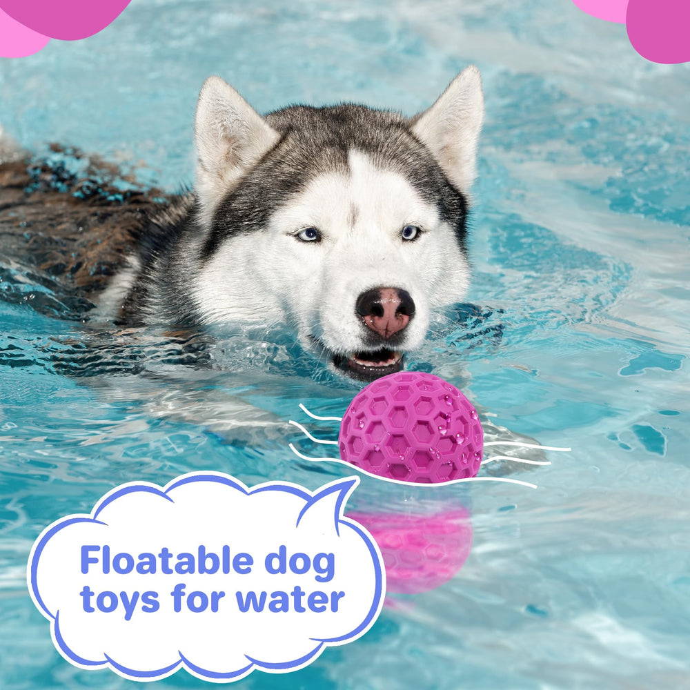 DISSKNIC appropriately sized 3.1-inch toy for large dogs