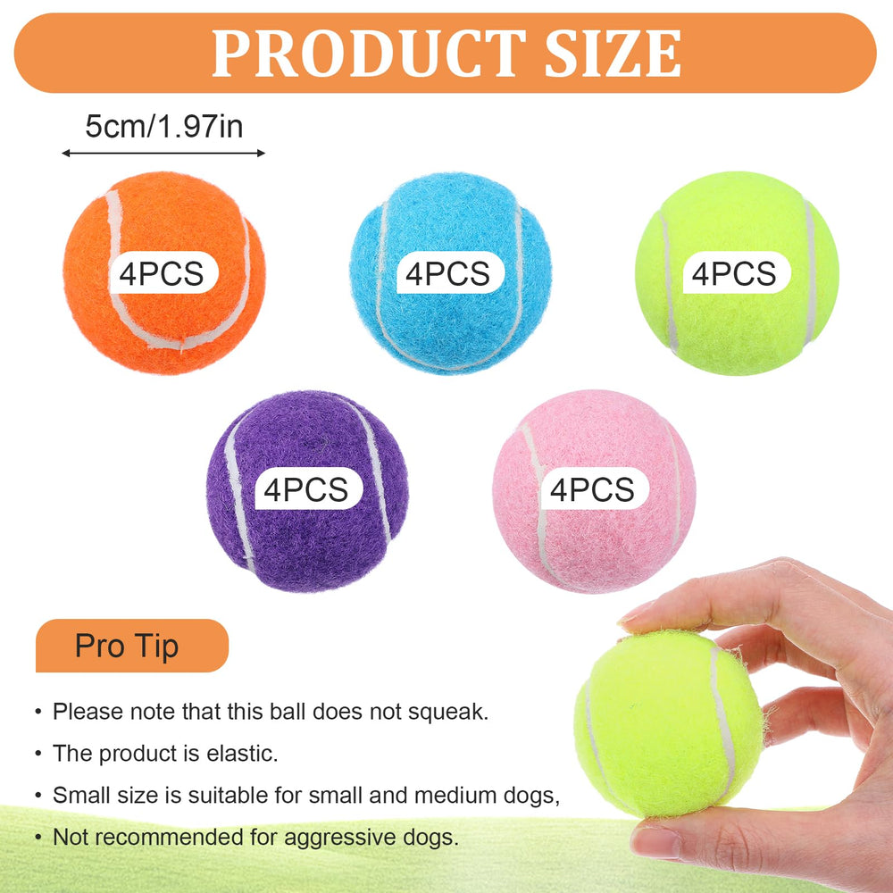 DIVINA VITAE 2-inch size balls fit dog ball launchers for easy games