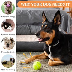 DIVINA VITAE bright color variety attracts dogs for fetch and training