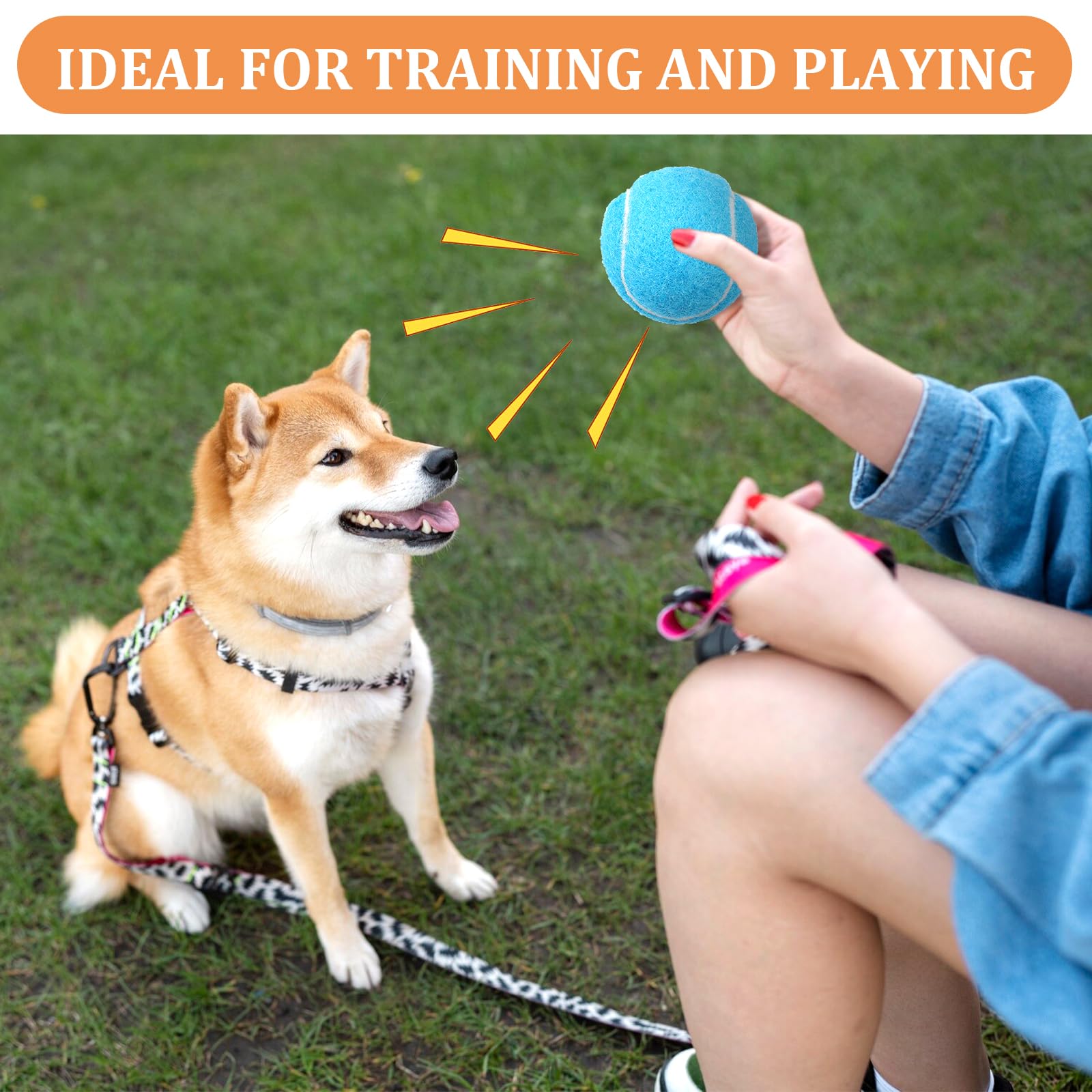 DIVINA VITAE packaging 20pcs supports versatile play sessions