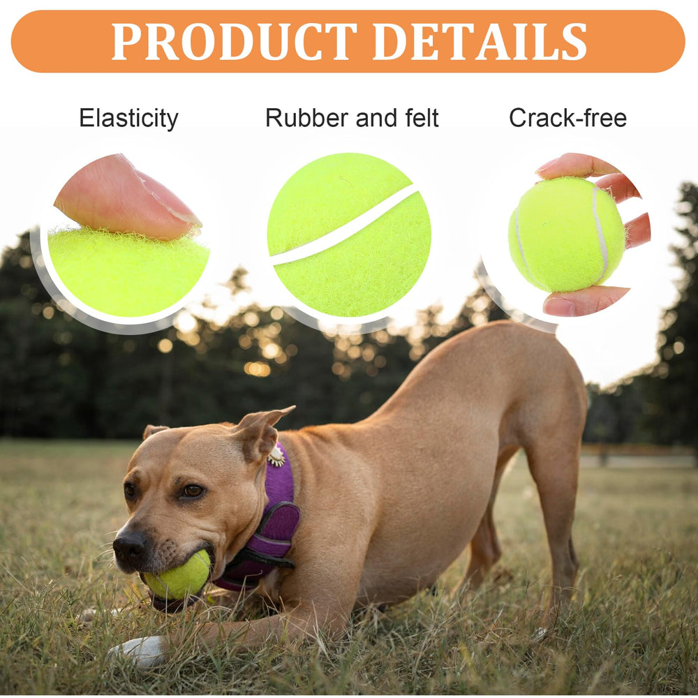 DIVINA VITAE rubber and fiber material close-up shows durability for chewing