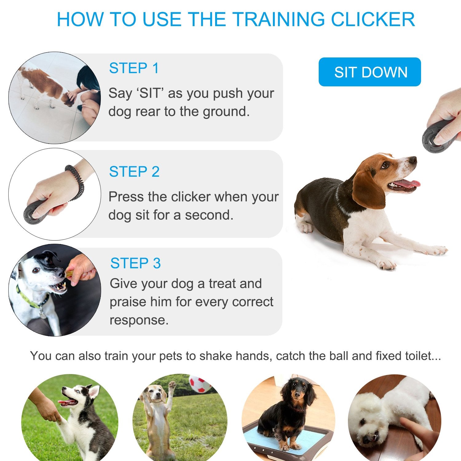 Diyife clicker with wrist strap close-up for safe hands-free training sessions.